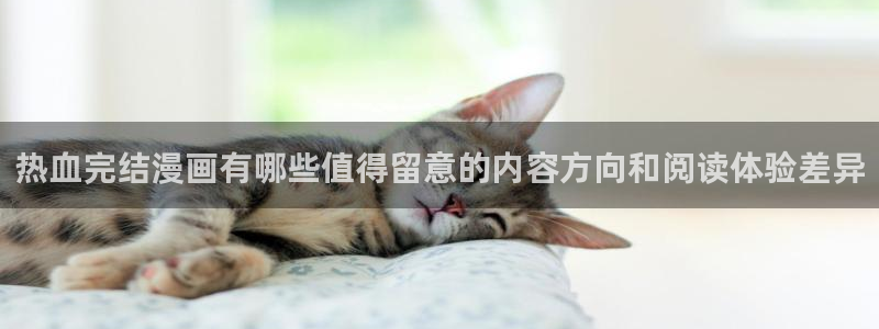 梦漫漫画完结榜：热血完结漫画有哪些值得留意的内容方向和阅读体验差异