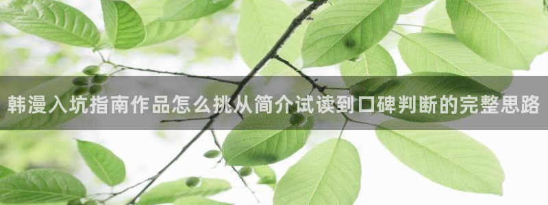 梦漫漫画手机软件:韩漫入坑指南作品怎么挑从简介试读到口碑判断的完整思路