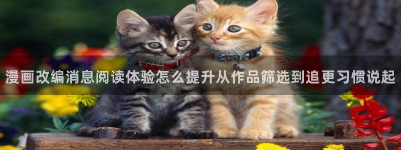 梦漫漫画最新资讯:漫画改编消息阅读体验怎么提升从作品筛选到追更习惯说起