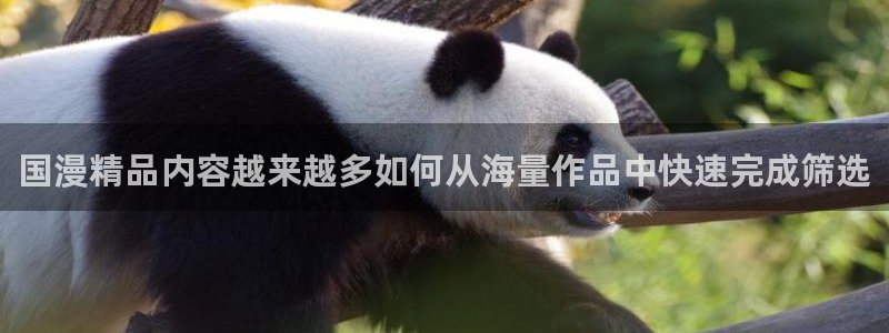 梦漫漫画软件功能:国漫精品内容越来越多如何从海量作品中快速完成筛选