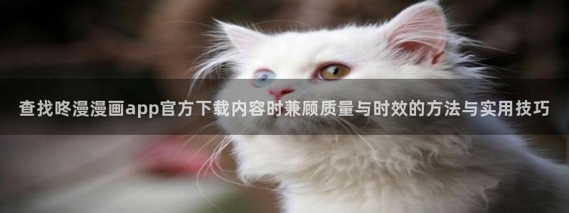 梦漫漫画免费在线阅读