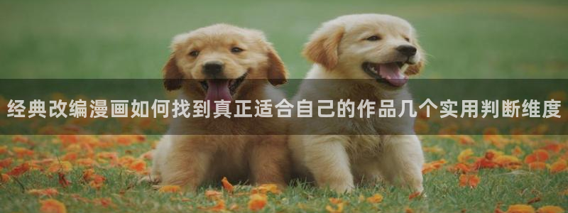 梦漫漫画手机软件